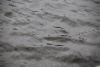 Pictures 037